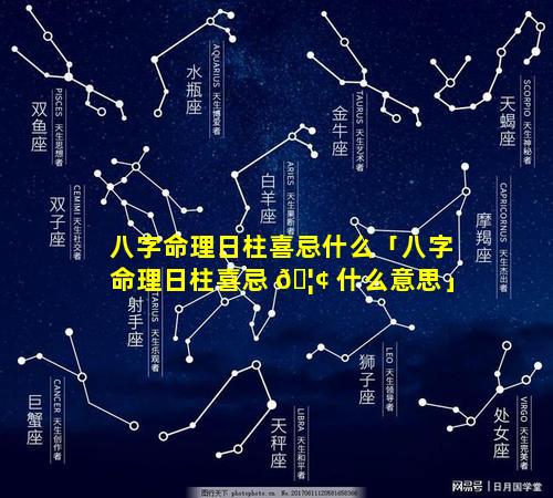 八字命理日柱喜忌什么「八字命理日柱喜忌 🦢 什么意思」